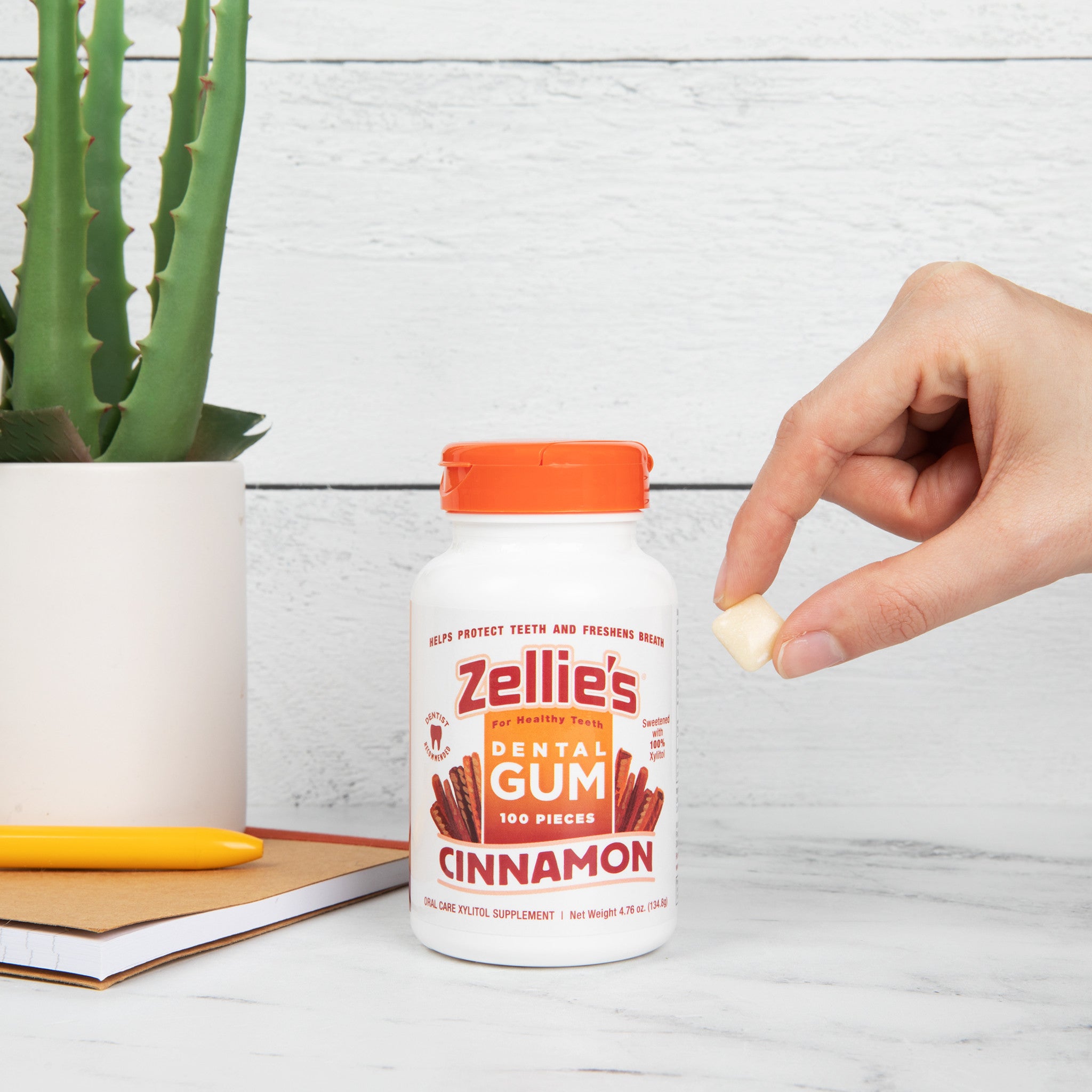 CINNAMON Xylitol Dental Gum - Wholesale