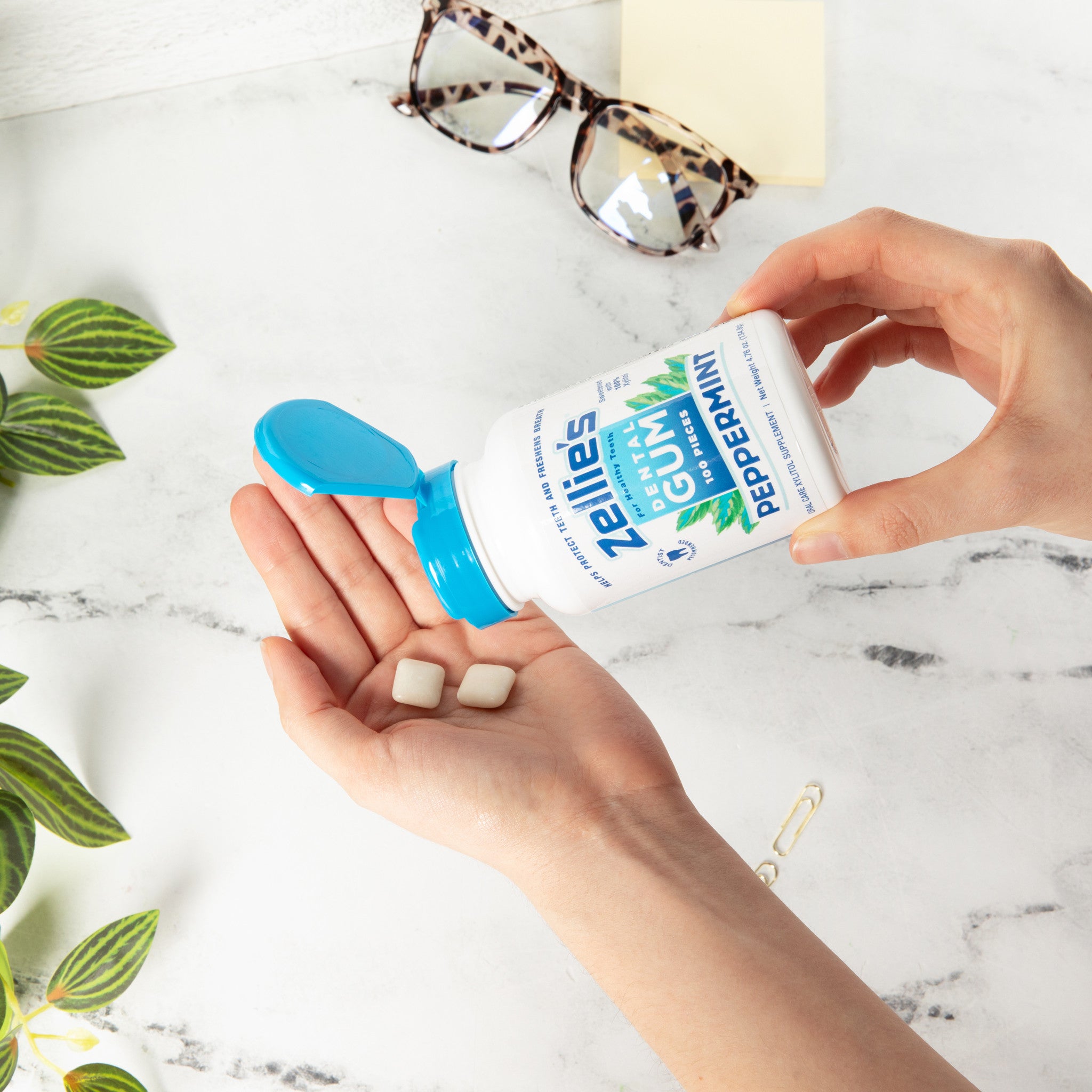 PEPPERMINT Xylitol Dental Gum - Wholesale