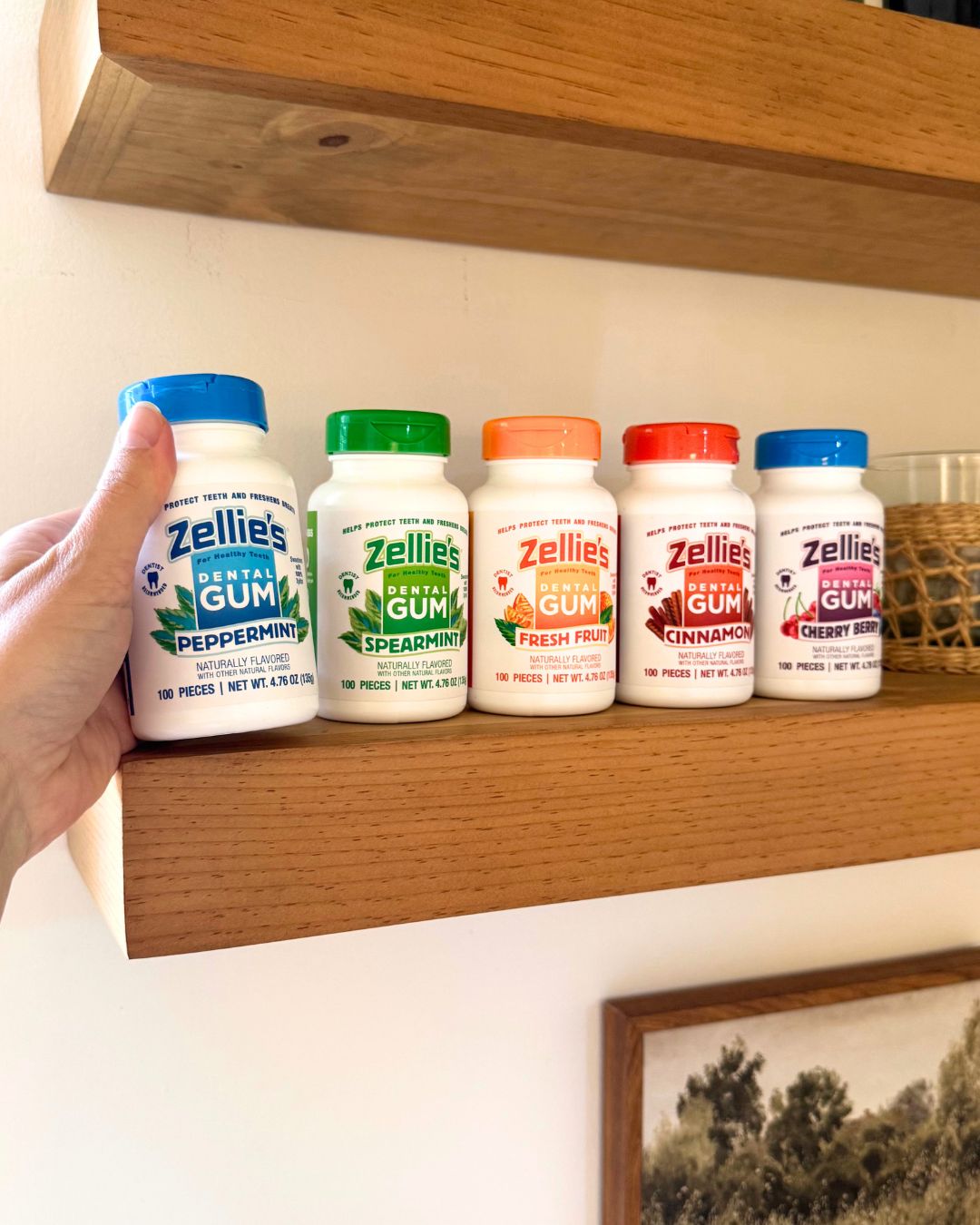 Complete collection of Zellie's xylitol chewing gum flavors arranged side by side